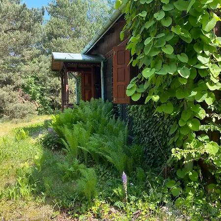 W Mchu I Paprociach Vakantiehuis Przeradowo